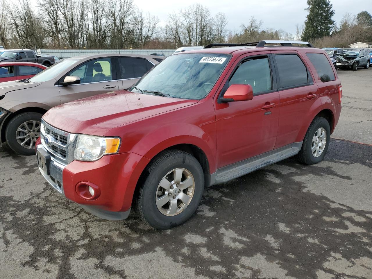 1FMCU9EGXBKB60045 2011 Ford Escape Limited