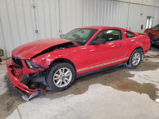 Lot #2510576089 2006 FORD MUSTANG salvage car