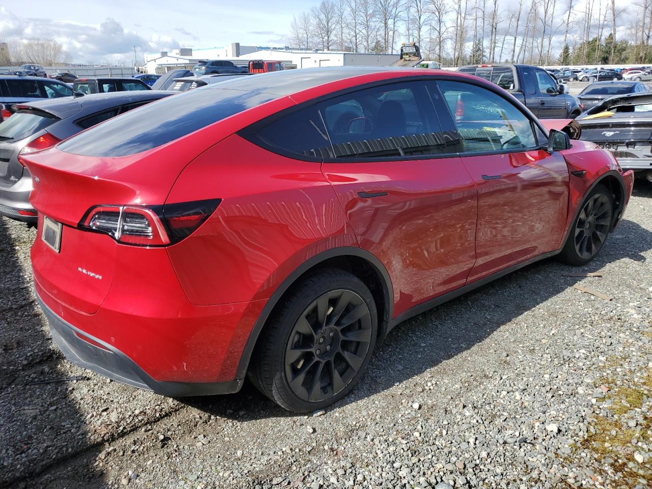 Lot #2428067066 2022 TESLA MODEL Y