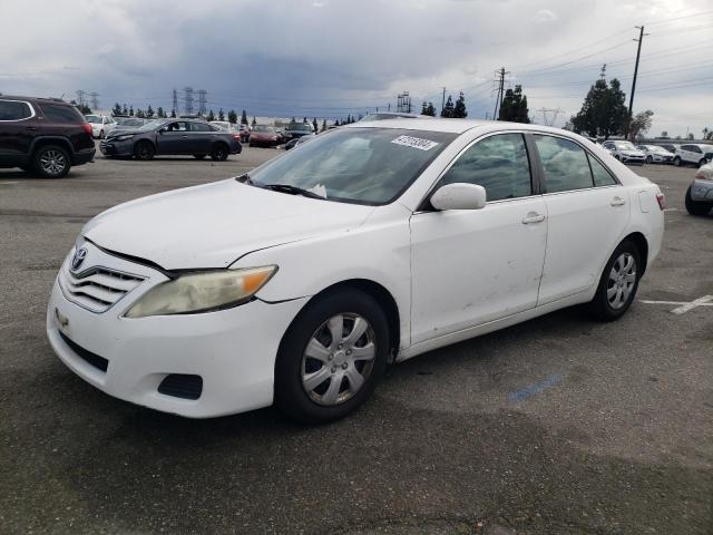 Lot #2484766013 2010 TOYOTA CAMRY BASE salvage car