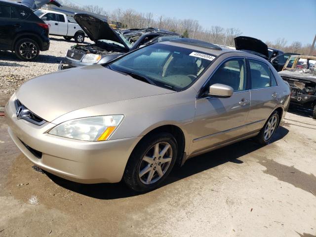 Lot #2428791330 2004 HONDA ACCORD EX salvage car