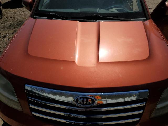 2009 Kia Borrego Lx VIN: KNDJH741395025029 Lot: 47795634