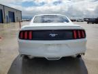 FORD MUSTANG photo