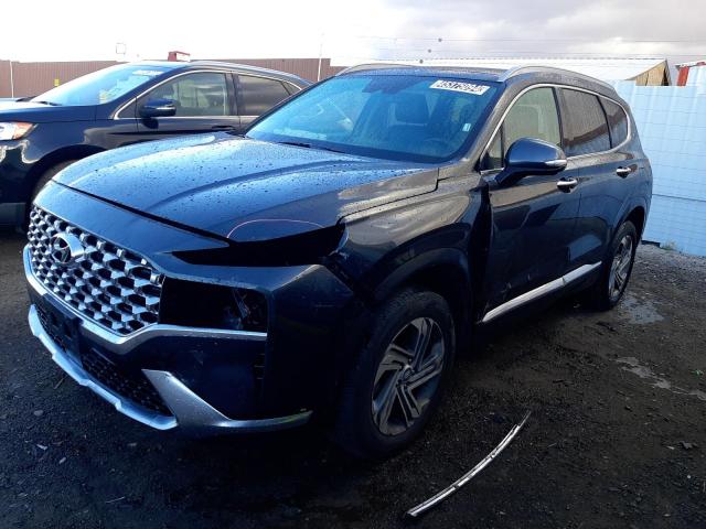 2023 Hyundai Santa Fe Sel Premium VIN: 5NMS3DAJ9PH530170 Lot: 45375094