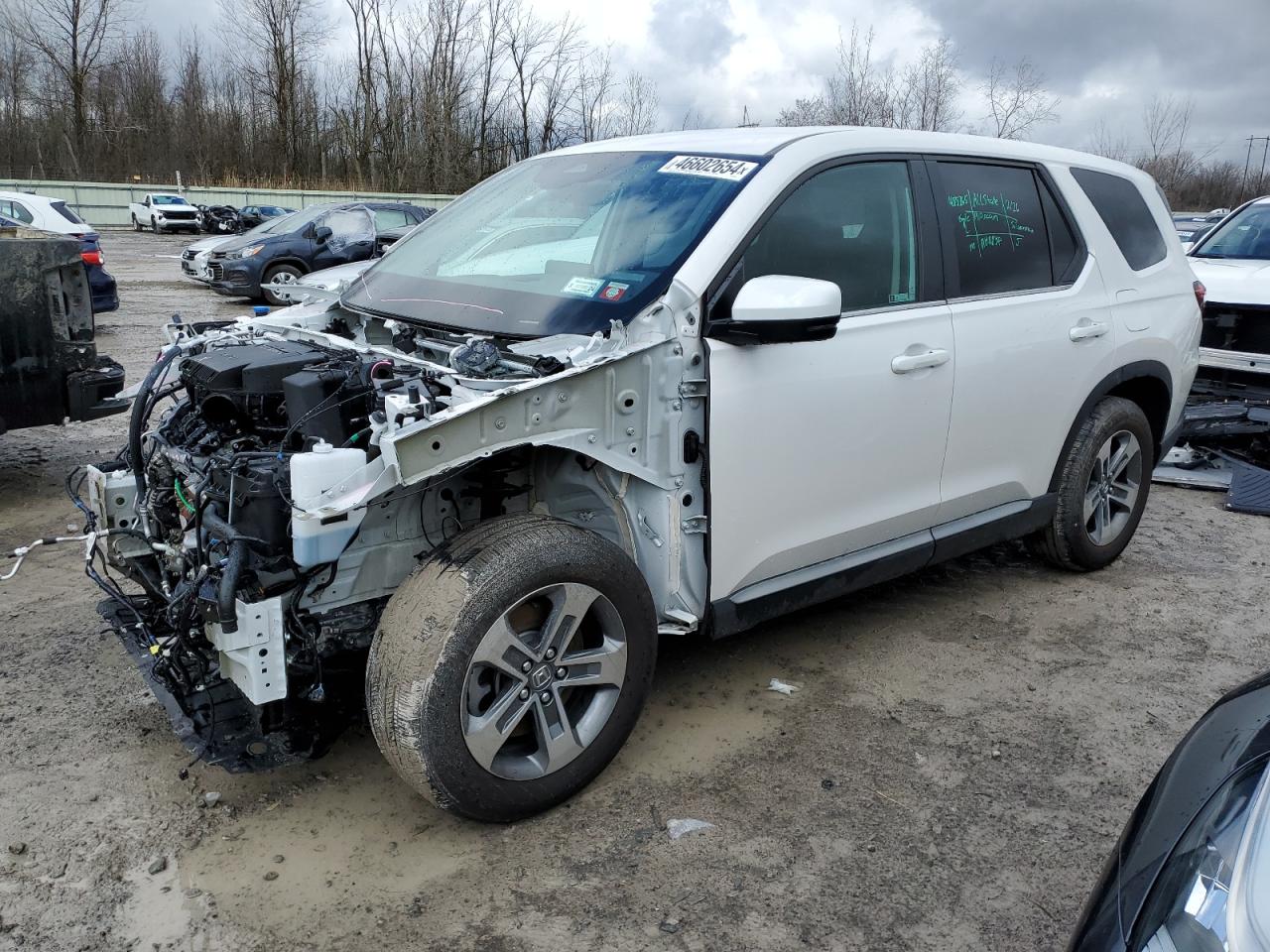 Lot #2934870417 2023 HONDA PILOT EXL