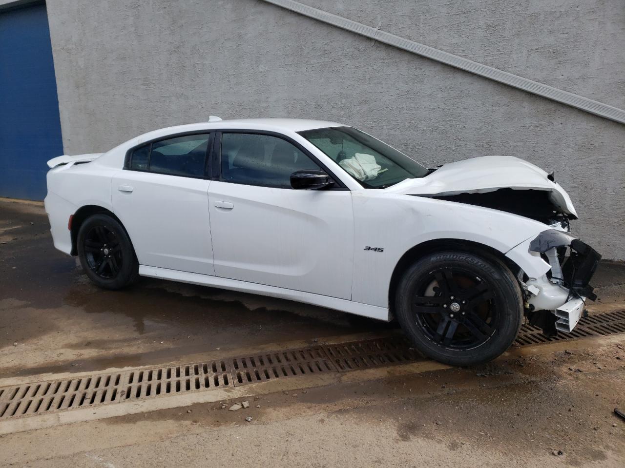 Lot #2448493809 2023 DODGE CHARGER R/