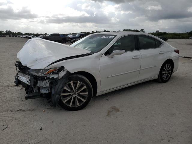 2019 LEXUS ES 350 - 58ABZ1B14KU021881