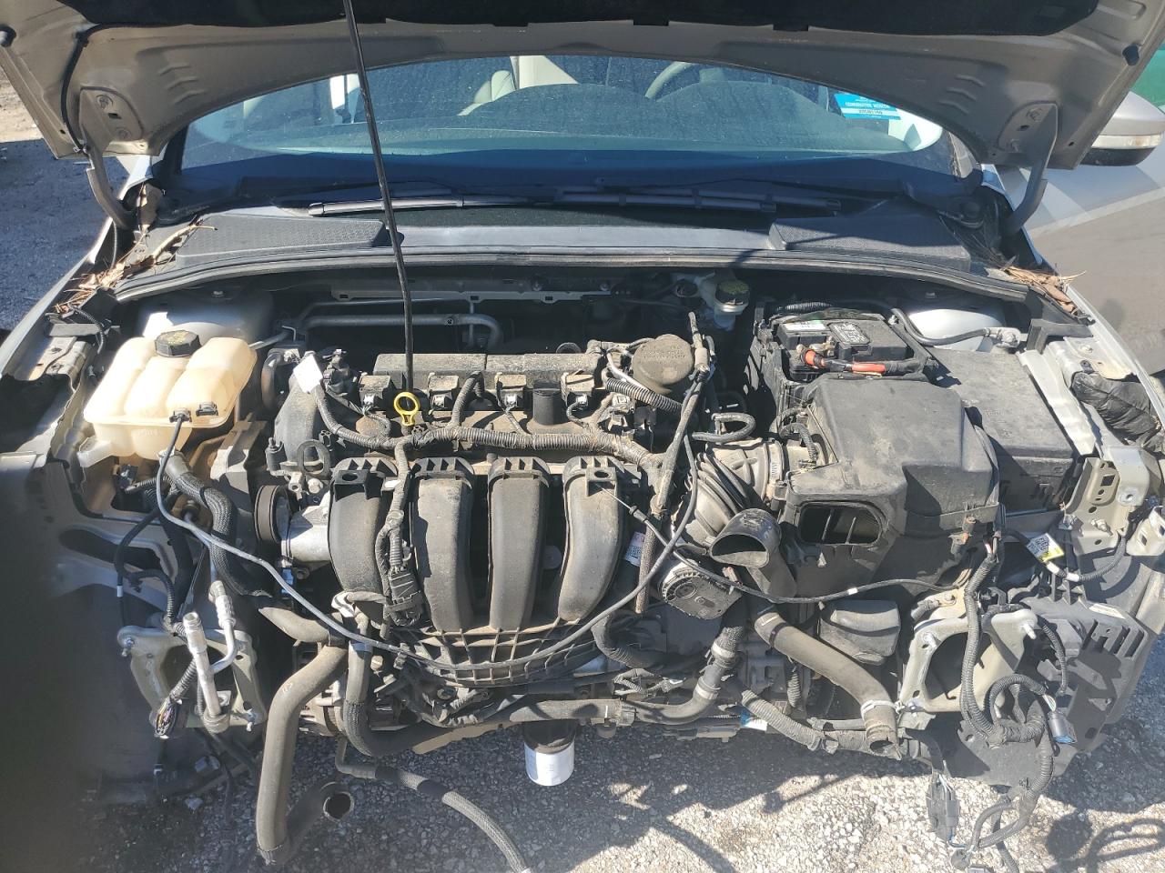 1FADP3F23FL365874 2015 Ford Focus Se