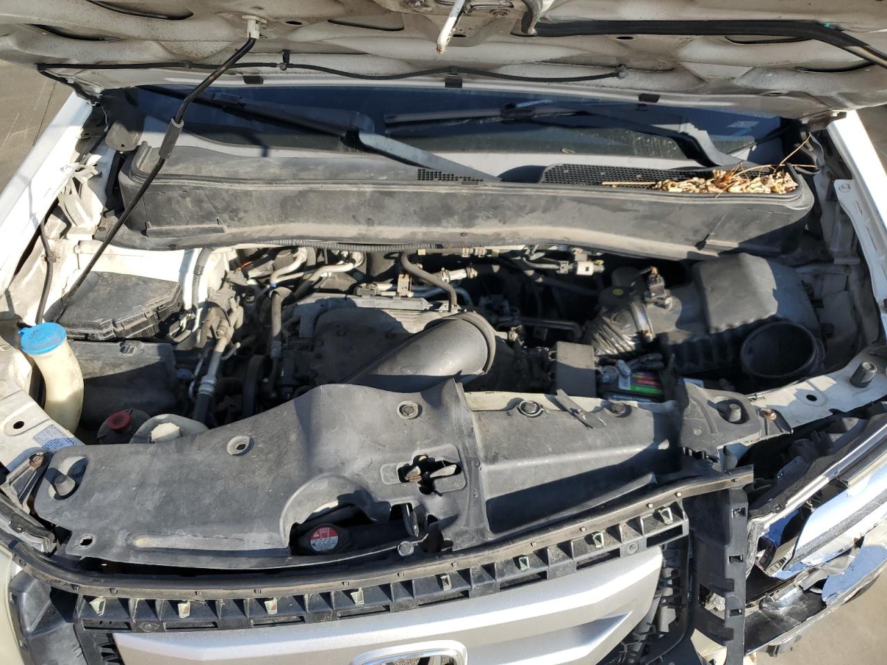 5FNYF4H56AB023570 2010 Honda Pilot Exl