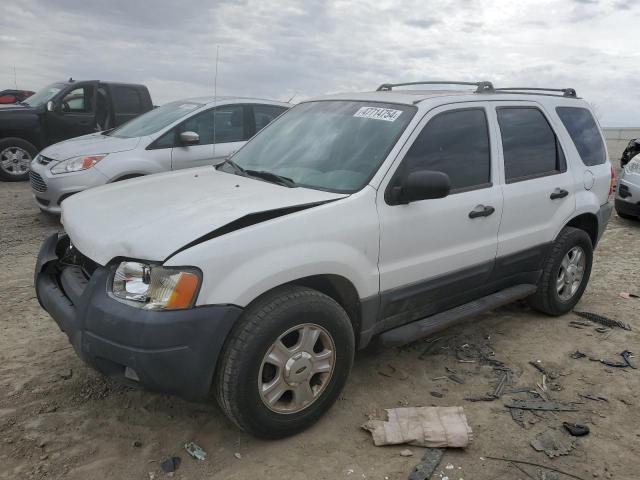 Lot #2462229834 2004 FORD ESCAPE XLT salvage car