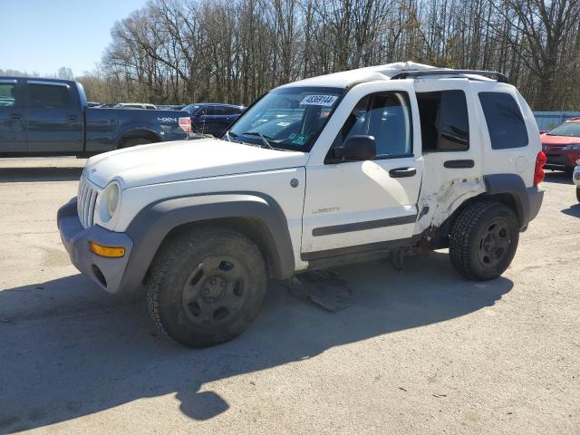 2004 Jeep Liberty Sport VIN: 1J4GL48K54W289764 Lot: 48369144