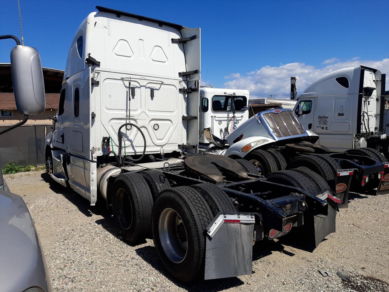 Lot #2505796458 2021 FREIGHTLINER CASCADIA 1