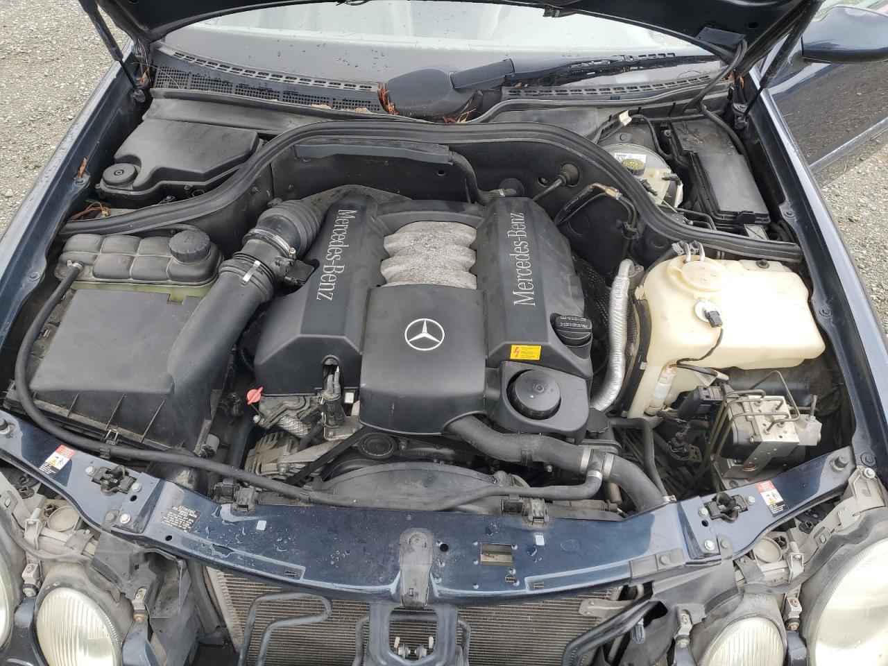 WDBLK65G3XT013414 1999 Mercedes-Benz Clk 320