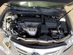 TOYOTA CAMRY BASE photo