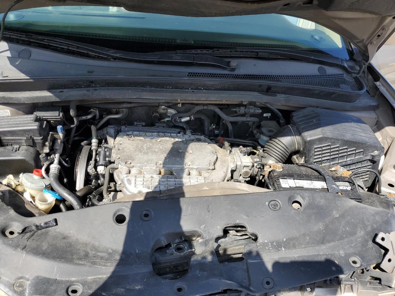 5FNRL38735B049008 2005 Honda Odyssey Exl