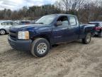 Lot #2389540039 2009 CHEVROLET SILVERADO