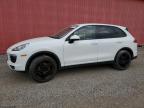 PORSCHE CAYENNE photo