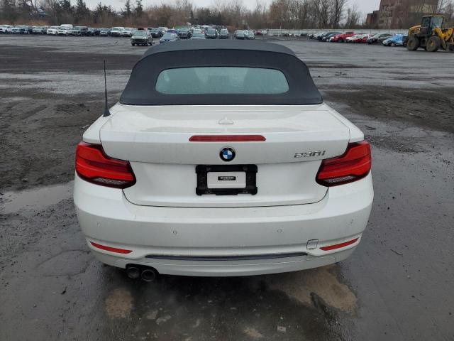 2018 BMW 230XI WBA2K1C55JVD41169