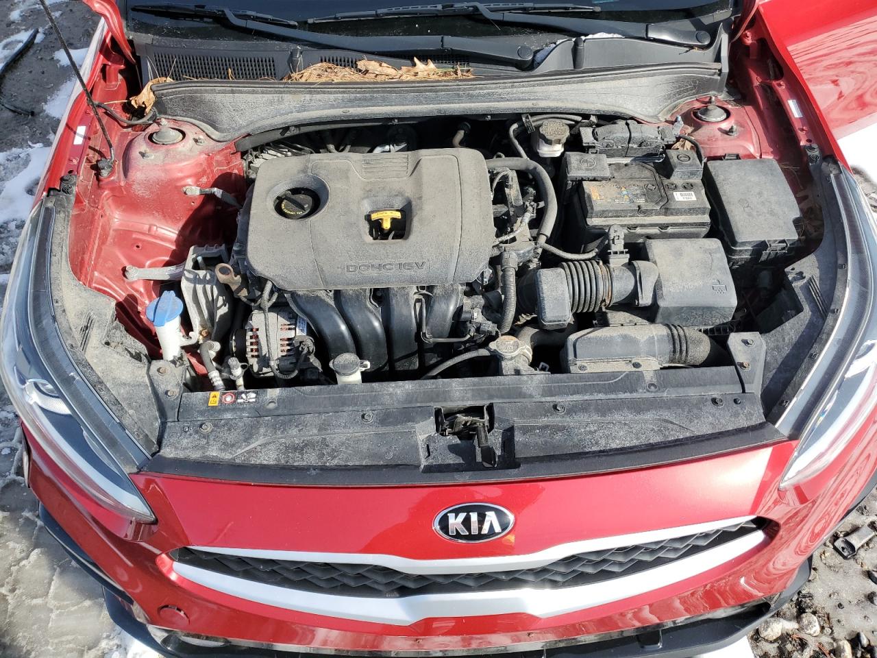 3KPF24AD1KE135785 2019 Kia Forte Fe