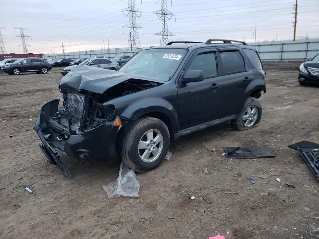 Lot #2390126017 2009 FORD ESCAPE XLT salvage car