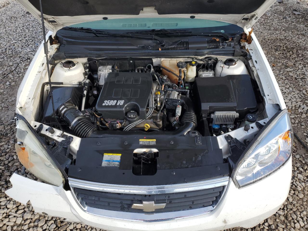 1G1ZT61856F241931 2006 Chevrolet Malibu Maxx Lt