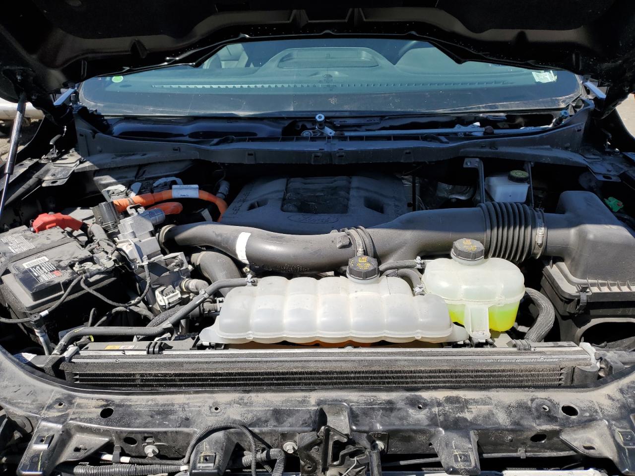 VIN: 1FTFW1ED5MFA59848 2021 FORD F-150