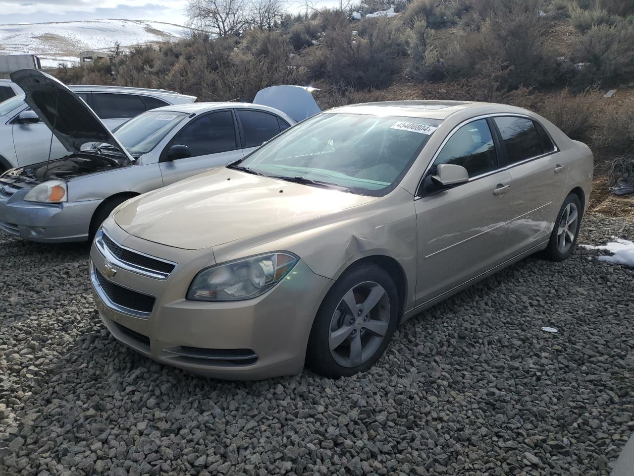 1G1ZC5EU1BF131843 2011 Chevrolet Malibu 1Lt