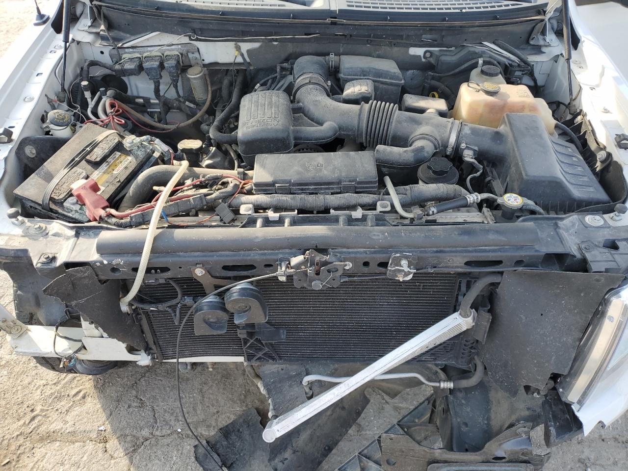 1FTFW1EV0AFD88428 2010 Ford F150 Supercrew