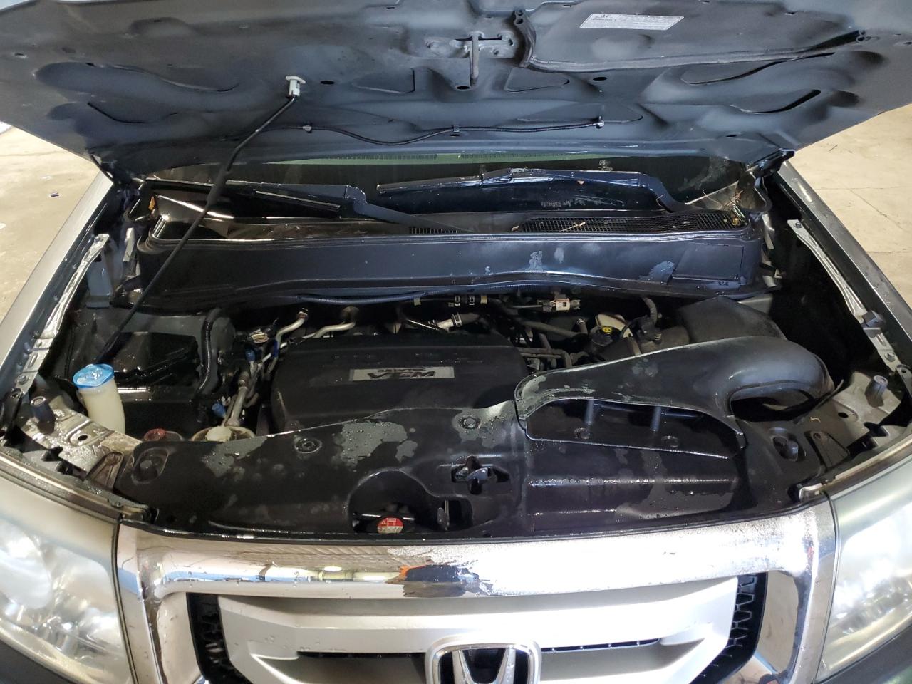 5FNYF4H57AB025571 2010 Honda Pilot Exl