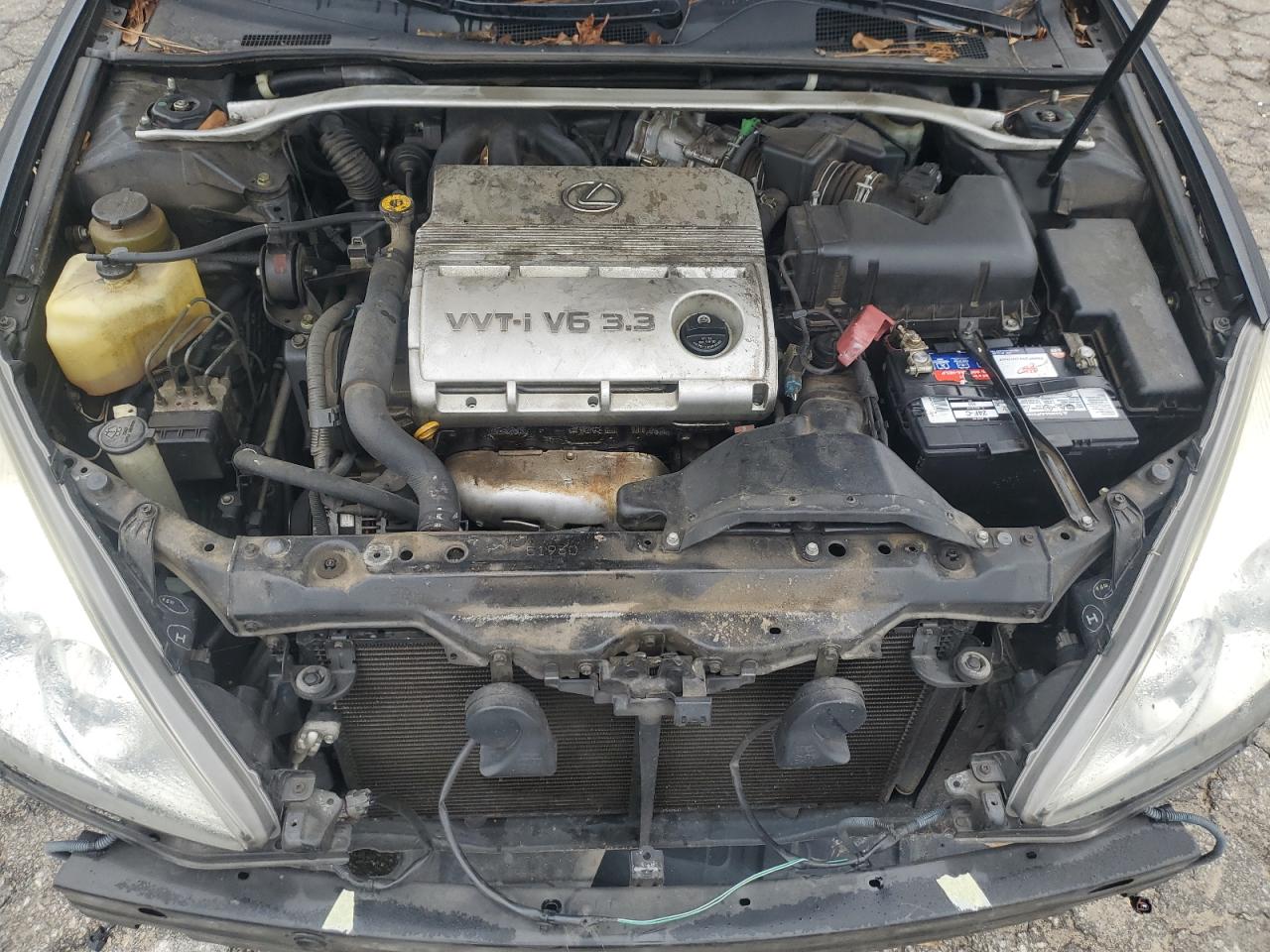 JTHBA30G545055572 2004 Lexus Es 330