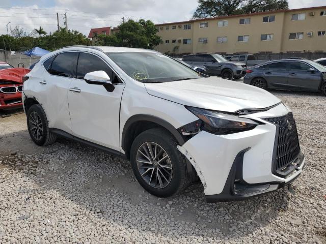 2022 LEXUS NX 250 JTJADCAZ0N5001048