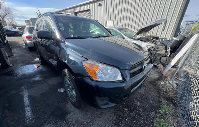 Lot #2376294782 2010 TOYOTA RAV4 salvage car