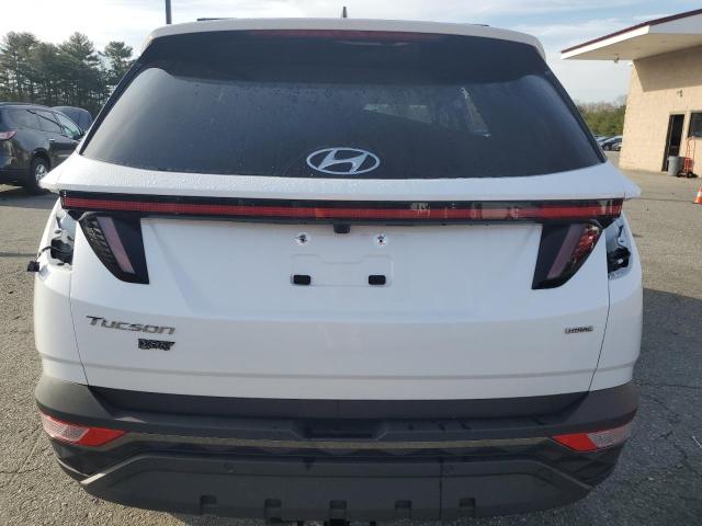 2023 HYUNDAI TUCSON N L - KM8JFCAE8PU225361
