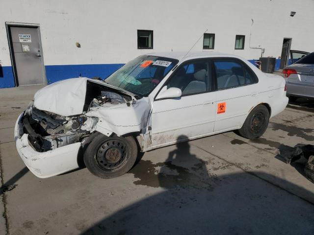 Lot #2485217859 2001 TOYOTA COROLLA CE salvage car