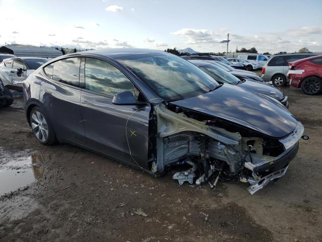 2023 TESLA MODEL Y - 7SAYGDEEXPF814424