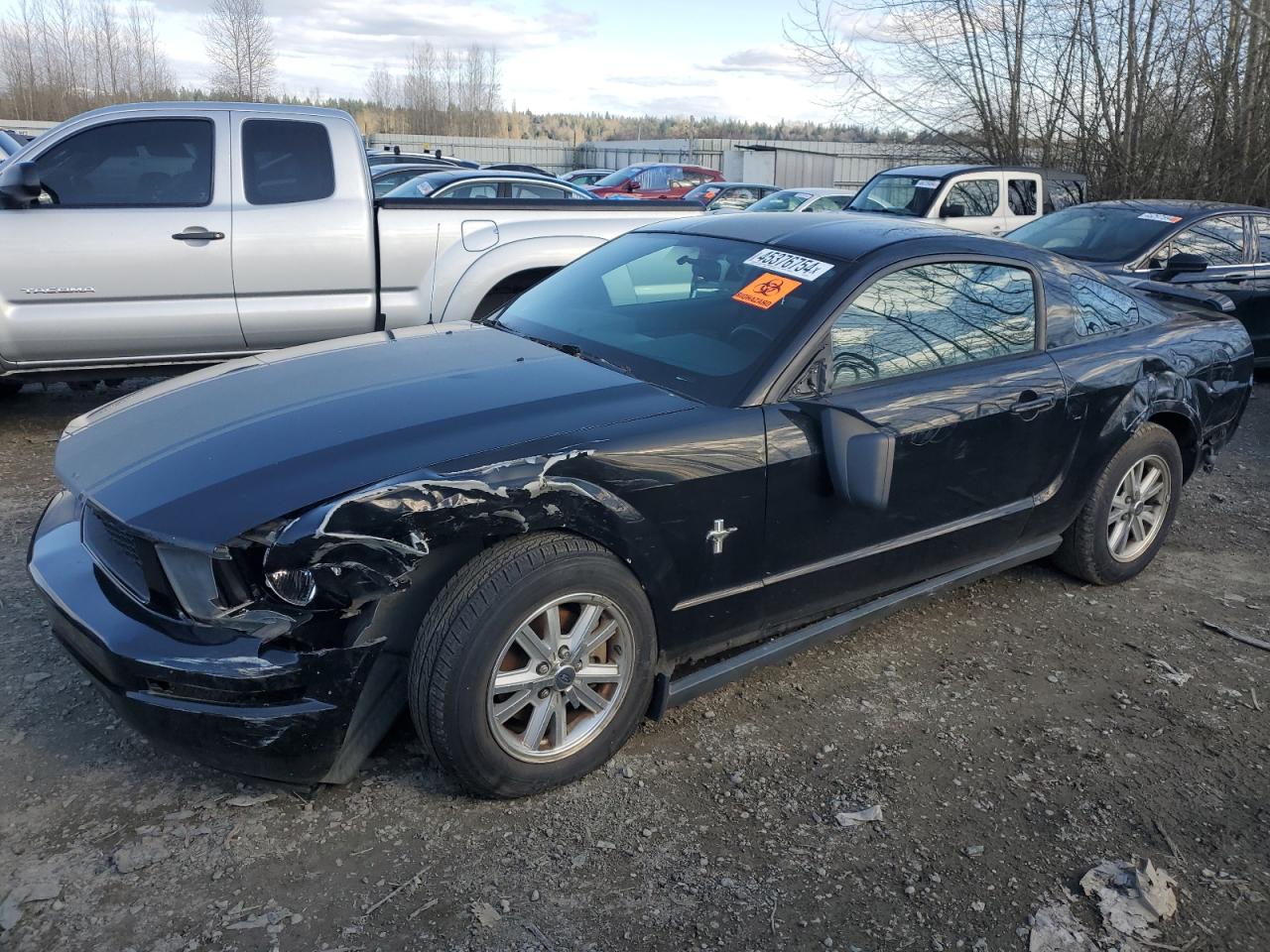 1ZVHT80N265106379 2006 Ford Mustang
