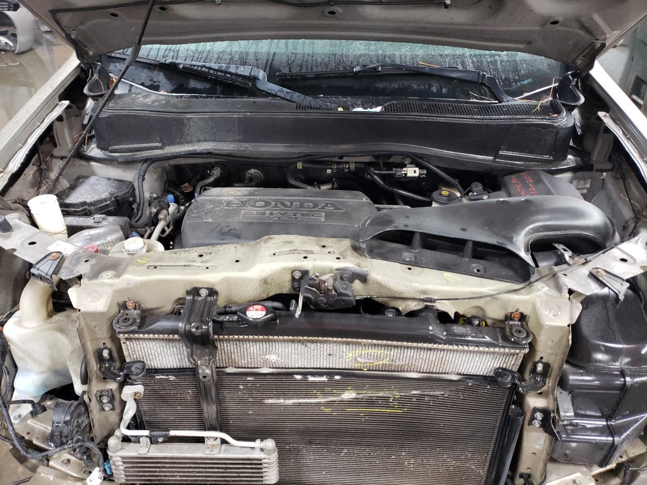 5FNYF4H71BB019431 2011 Honda Pilot Exln