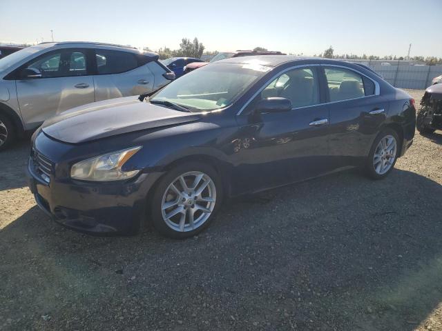 Lot #2428604559 2010 NISSAN MAXIMA S salvage car