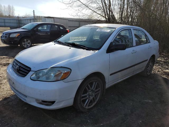 Lot #2394791246 2003 TOYOTA COROLLA CE salvage car