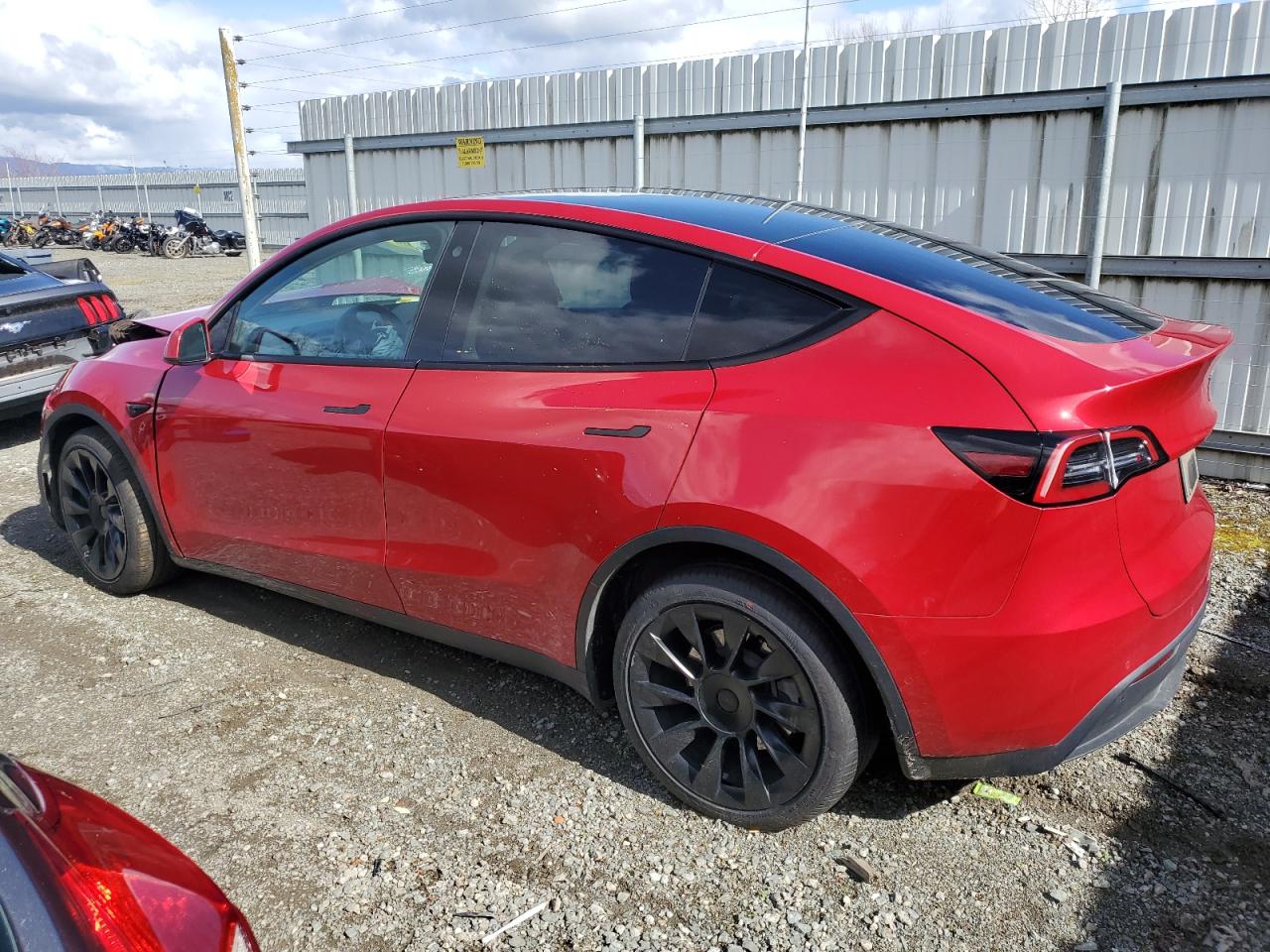 Lot #2428067066 2022 TESLA MODEL Y