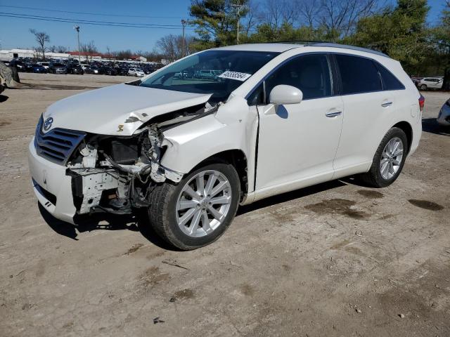 Lot #2455196503 2011 TOYOTA VENZA salvage car