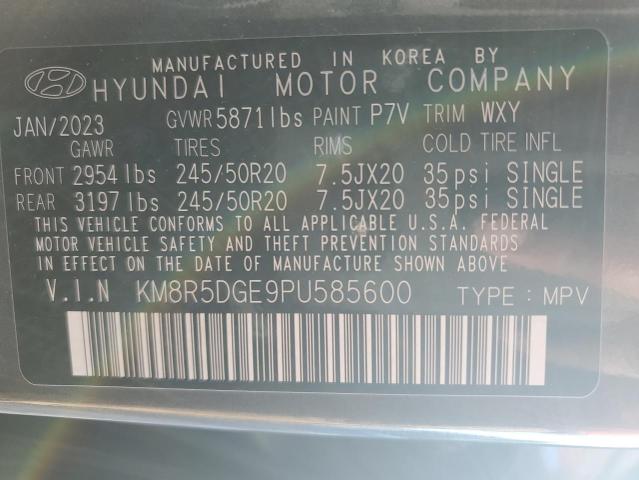 KM8R5DGE9PU585600 Hyundai Palisade L 12