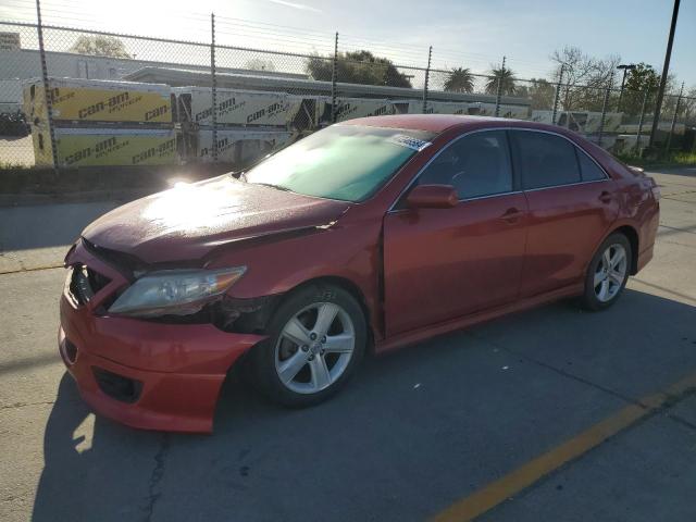 Lot #2492227087 2010 TOYOTA CAMRY BASE salvage car