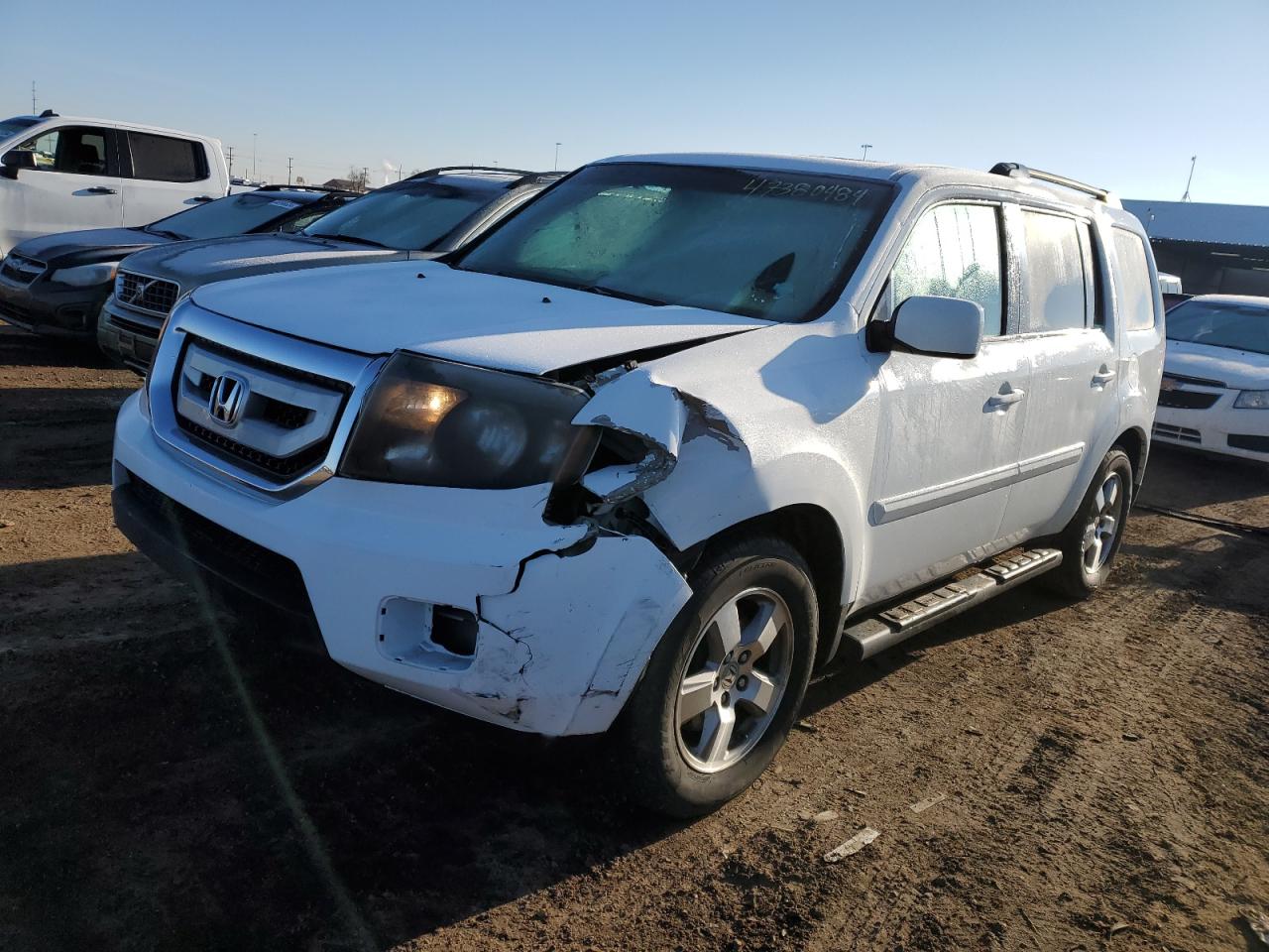 5FNYF4H51AB002559 2010 Honda Pilot Exl