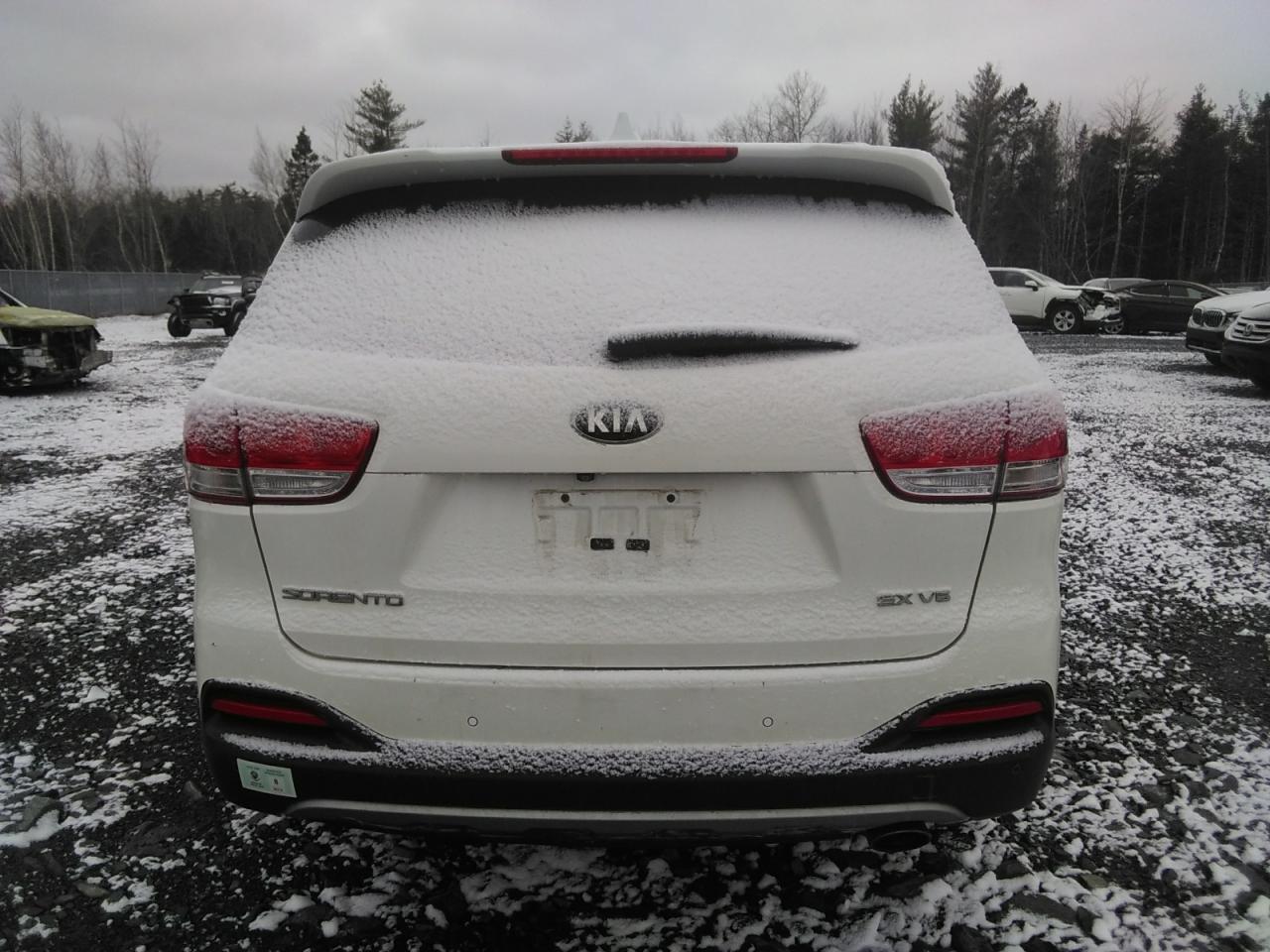 5XYPH4A53GG048430 2016 Kia Sorento Ex