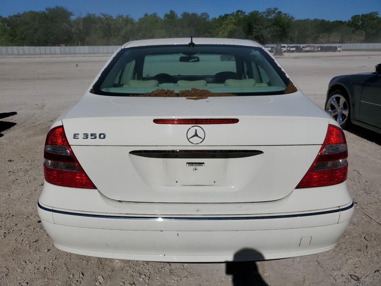 WDBUF56J16A905166 2006 Mercedes-Benz E 350