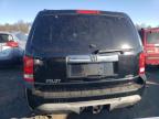 HONDA PILOT EXL photo