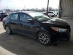 FORD FOCUS SE photo