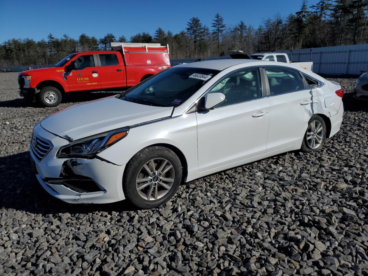 5NPE24AF9GH302443 2016 Hyundai Sonata Se