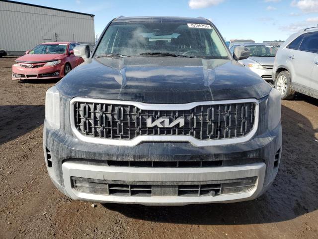 2023 Kia Telluride Ex VIN: 5XYP3DGC5PG397268 Lot: 46106254